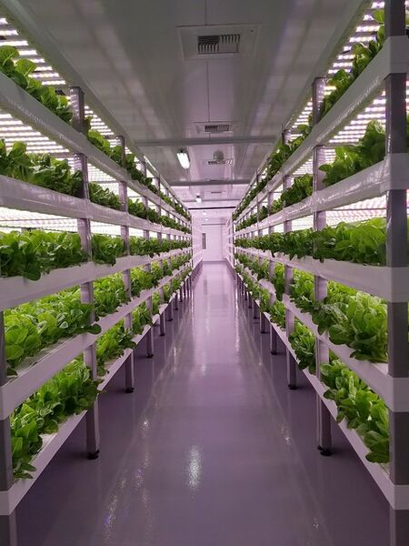 File:vertical-farm-1.jpg