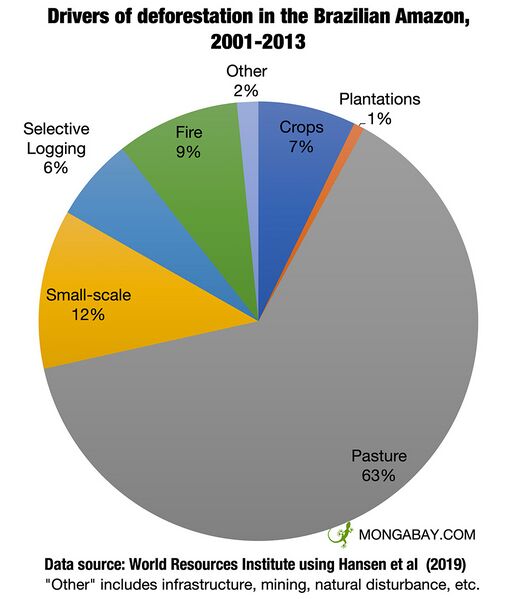 File:amazon-deforestation-drivers-2001-13-960.jpg