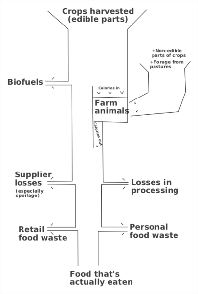 File:food-funnel-old.png